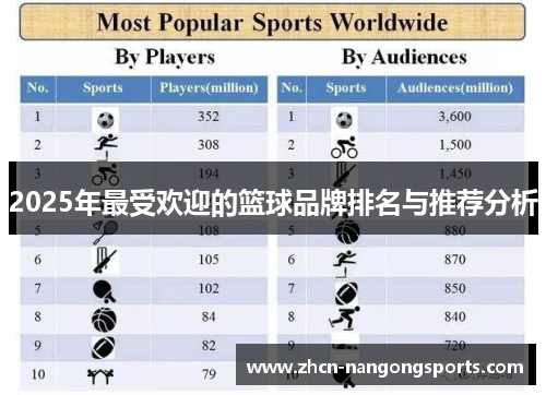 2025年最受欢迎的篮球品牌排名与推荐分析